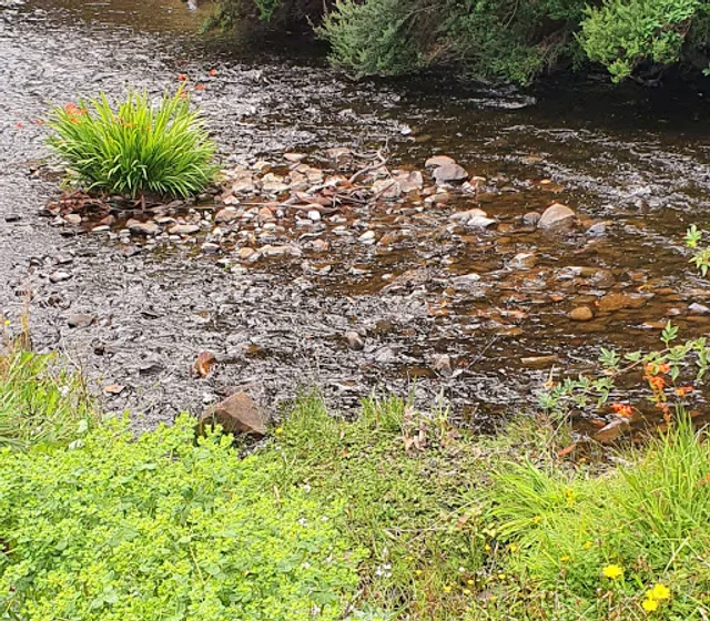 Geeveston Ex-Servicemen's & Women's Club Inc.