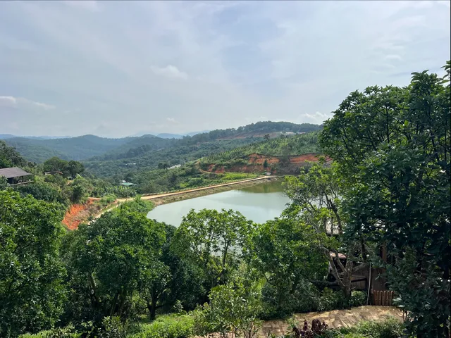 Mimoza Homestay Cầu Đất- Đà Lạt