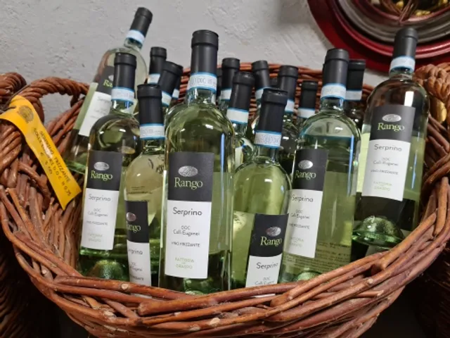 Fattoria del Graspo - Vendita vini dei Colli Euganei