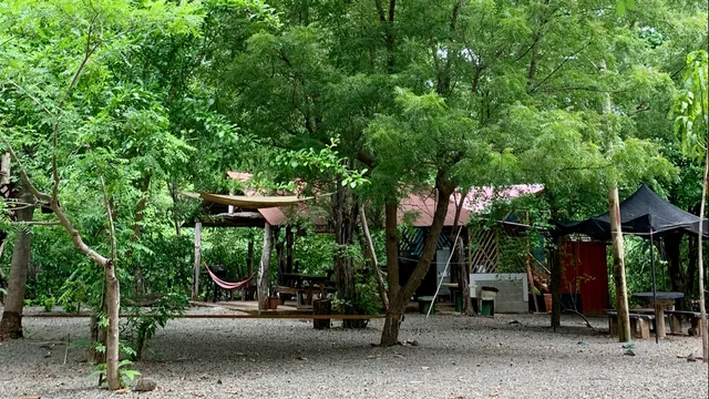 Nieves Surf School and Cabinas