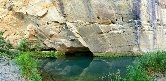 Carnarvon Gorge camping area, Carnarvon National Park