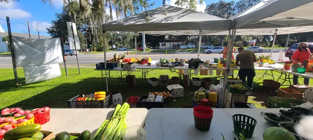 Lady Lake Farmer's Market