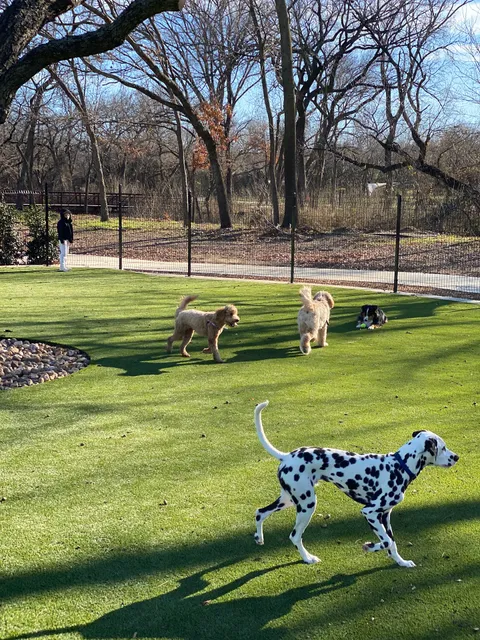 Bark Park at Bear Creek Park