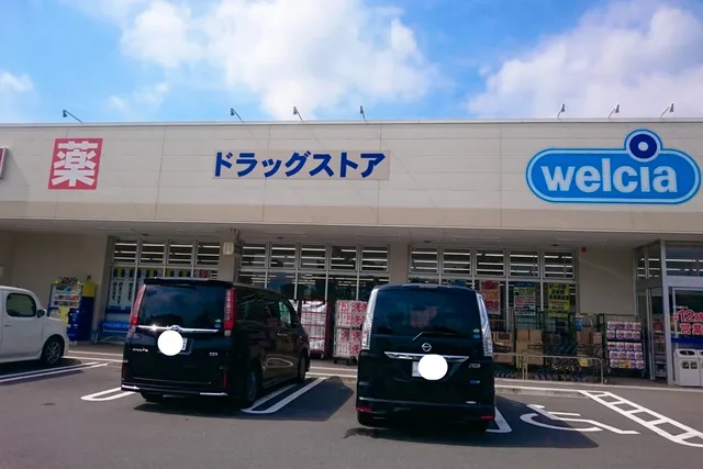 Welcia Otawara Honcho