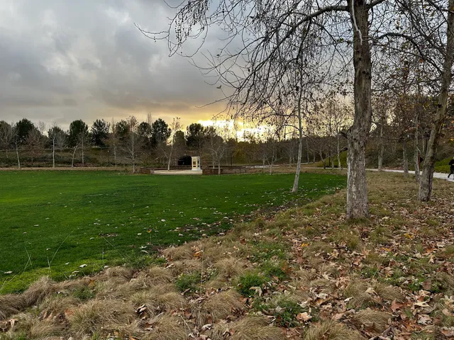 Jeffrey Open Space Trail Picnic Area