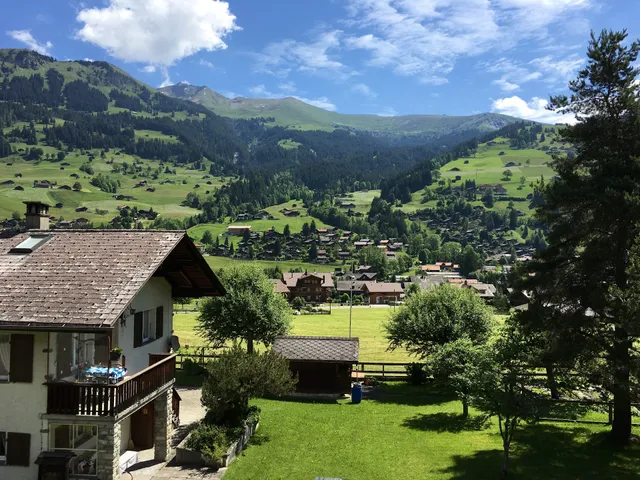 Chalet Steinbock Wohnung #1