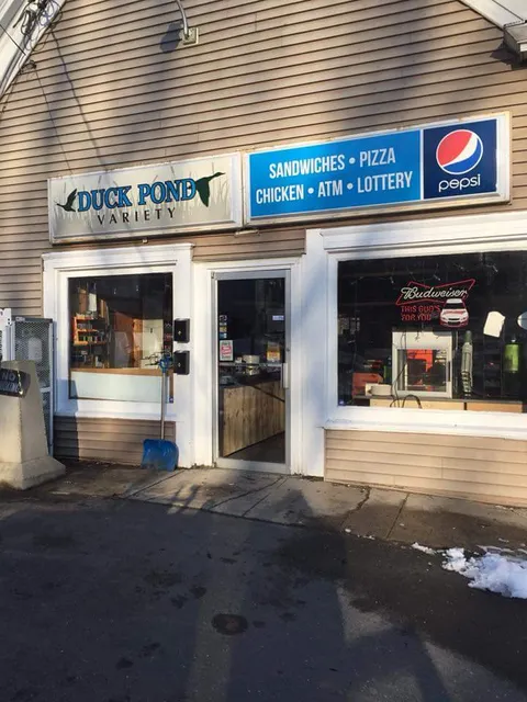 Duck Pond Variety - Windham