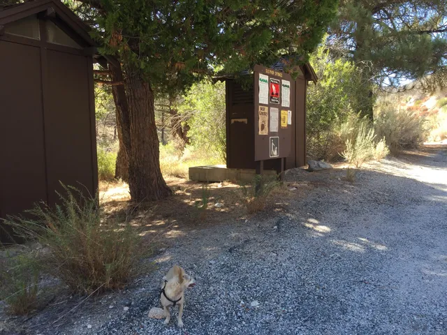 Sulphur Springs Campground