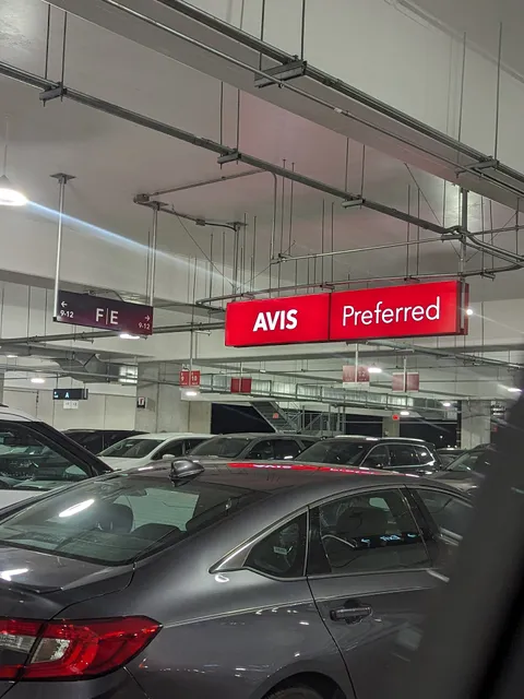 Avis Car Rental