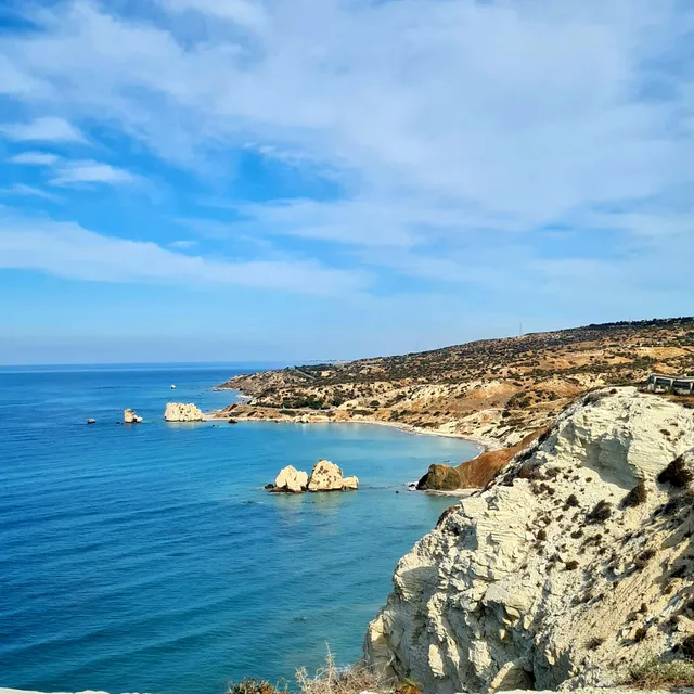 Love Shack Apartment