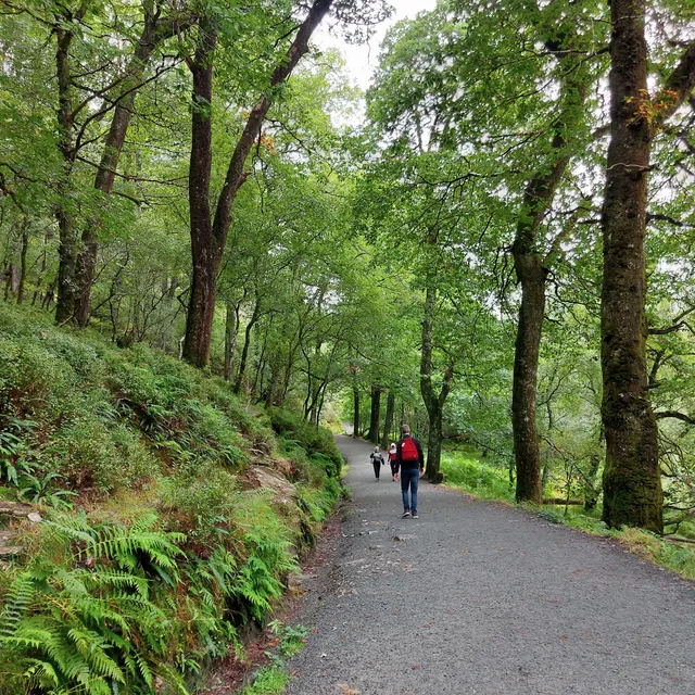 Green Road Walk