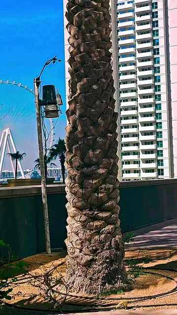 Parking of Al Fattan Marine Towers