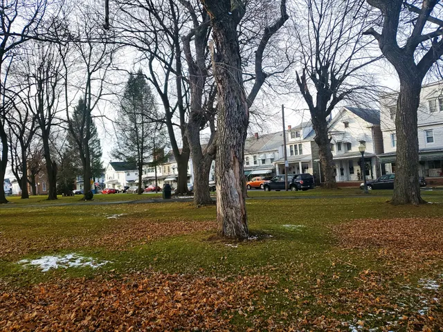 Mount Carmel Town Park