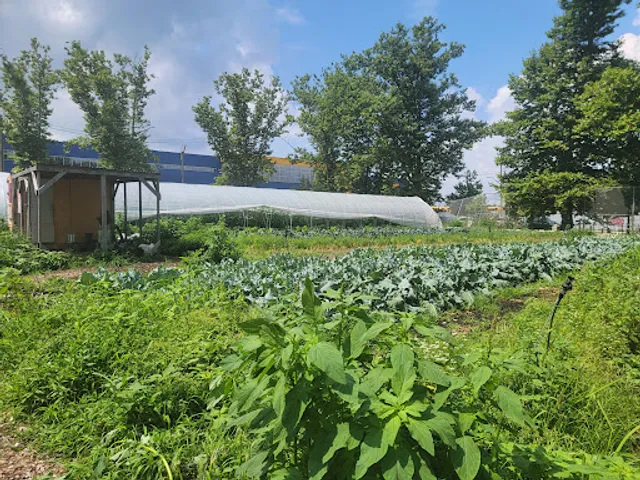 Red Hook Farms - Columbia Street Farm
