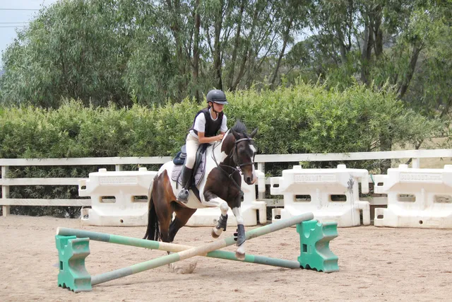 Valley Park Riding School