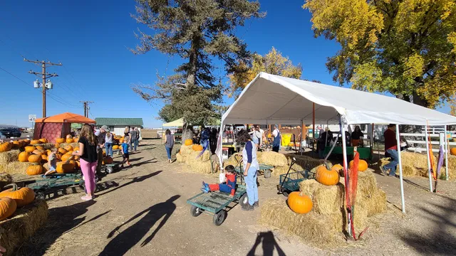 Johnson Farm and Apiary