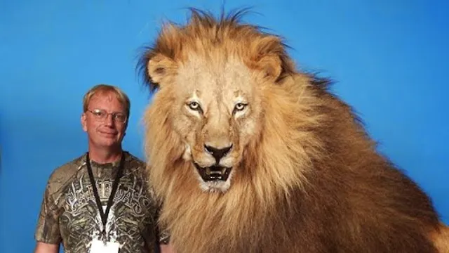 Nature's Design Taxidermy