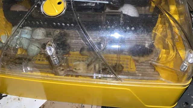 Brinsea Products Inc