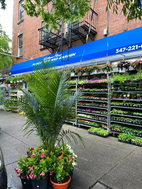Ditmas park florist gift and garden llc.