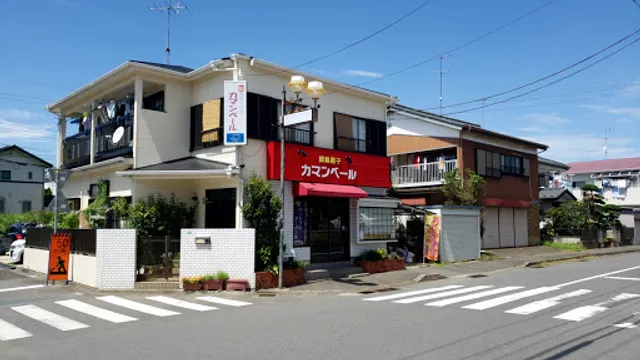 European Style Confectionary Shop Camembert