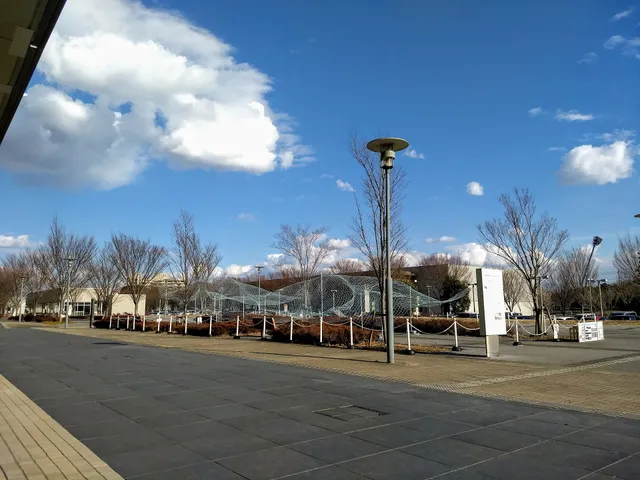 Graduate School of Frontier Sciences, The University of Tokyo