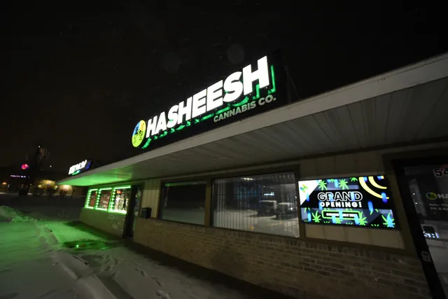 Hasheesh Cannabis - Big Rapids