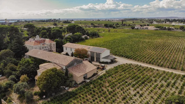 Maison Stony - Gites & Vignoble