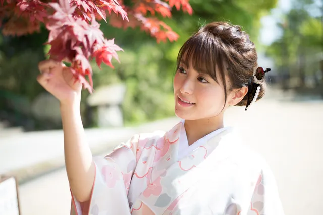 Japanese-made Rental Kimono Wakana