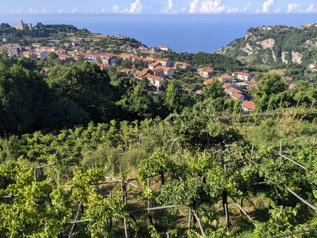 Agriturismo il Castagno