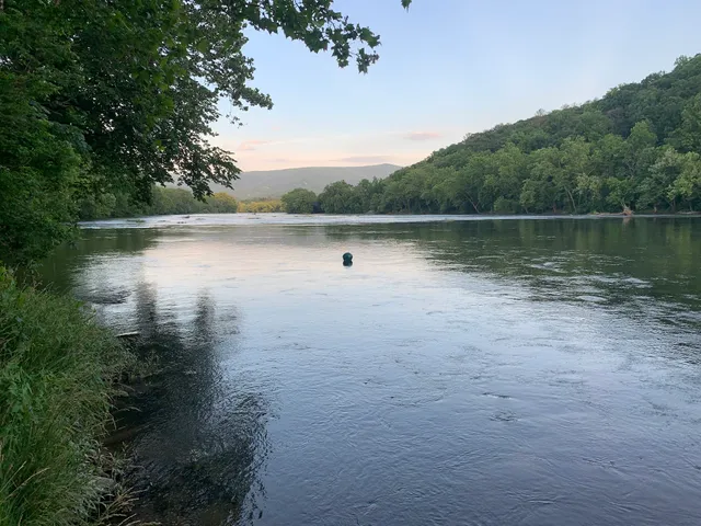 Shenandoah Stars cabin