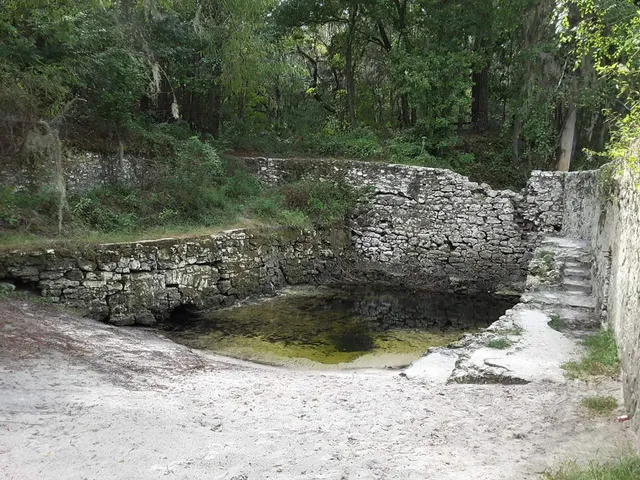 Suwannee Springs