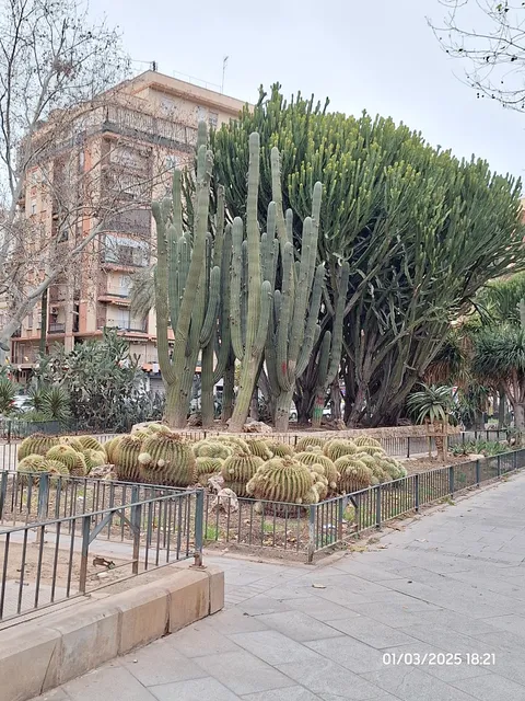Parc de Cactus