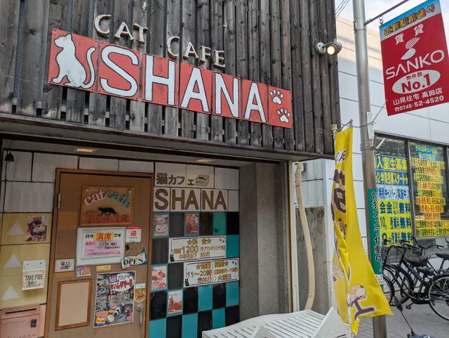Cat Cafe SHANA