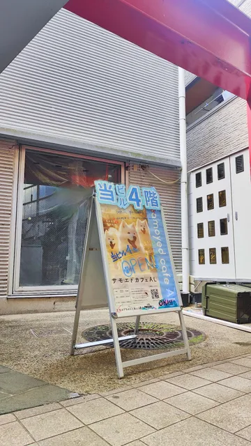 Samoyed cafe AL Nara