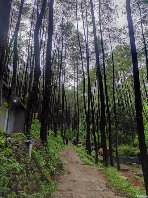 BUMI PERKEMAHAN KLURAK ECO PARK PACET