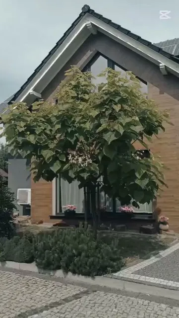 Apartamenty Akacjowa Villa106