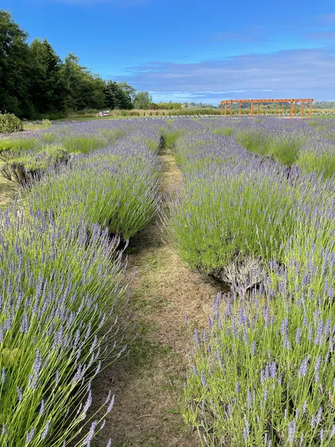 Fat Cat Garden & Gifts