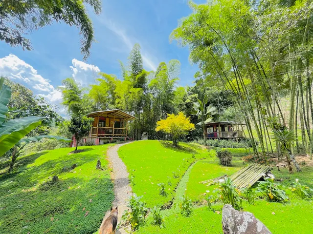 LOS GULUNGOS LODGE • Cabañas • Hostal