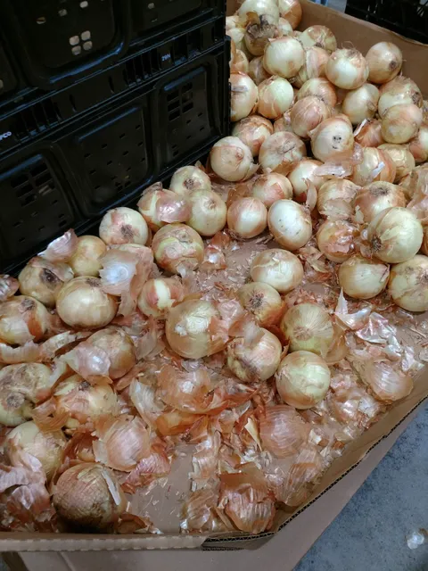 Food Bank for Larimer County