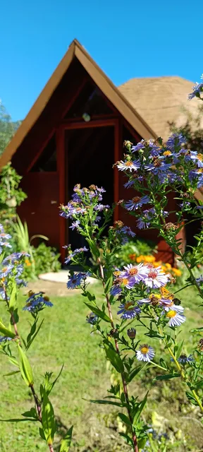 Vive Pellaifa -Domo -Tiny House