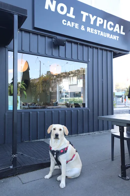 NOT TYPICAL CAFE & RESTAURANT