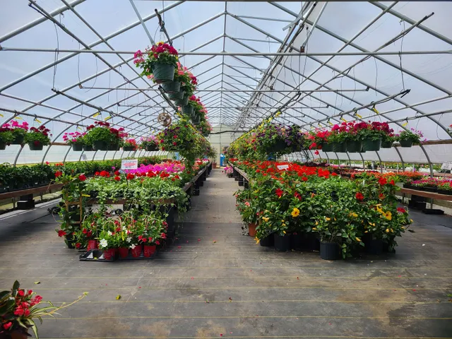 Scotts’ Farm & Greenhouses