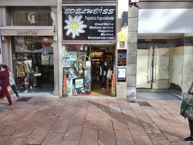 Edelweiss Stationery / Art Workshop