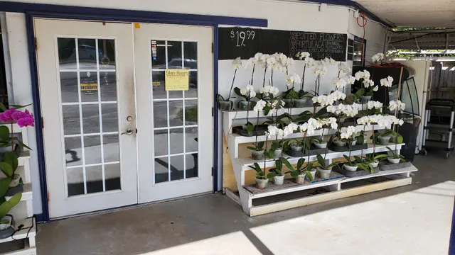 Hobe Sound Seafood and Produce