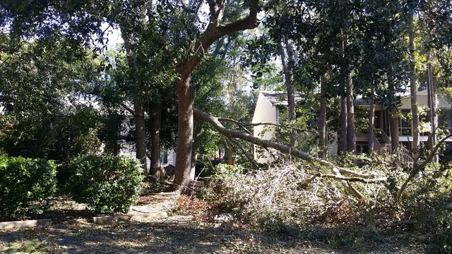 Commons At Wilmington Island