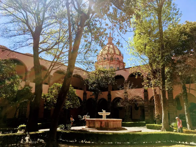 Zenteno Bellas Artes