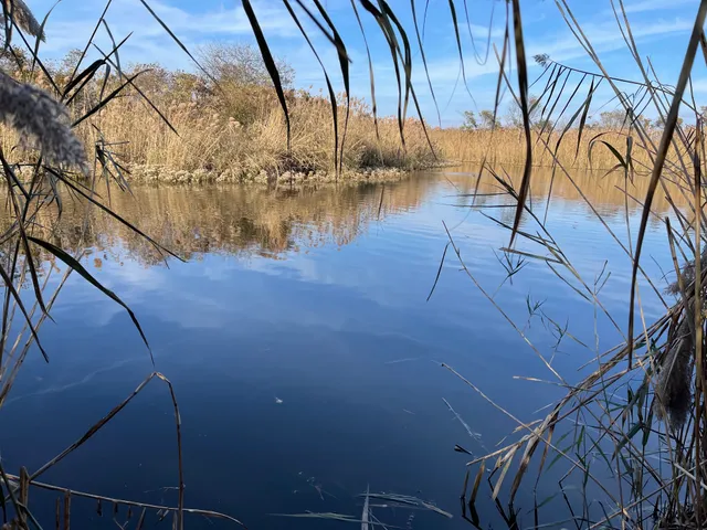 JFK Wildlife Sanctuary