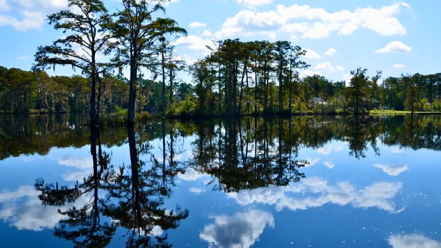The Grey Goose, The Crab Shack, The Gosling, The Sanderling