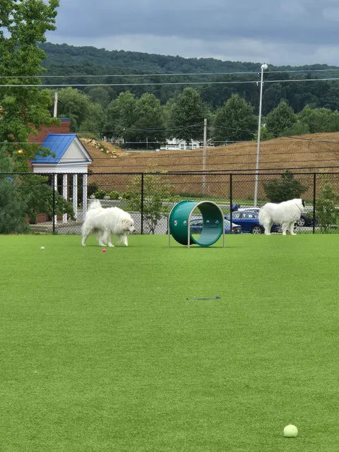 Dog Parks at Christiansburg Huckleberry Park