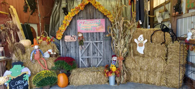 Maxwell's Pumpkin Farm